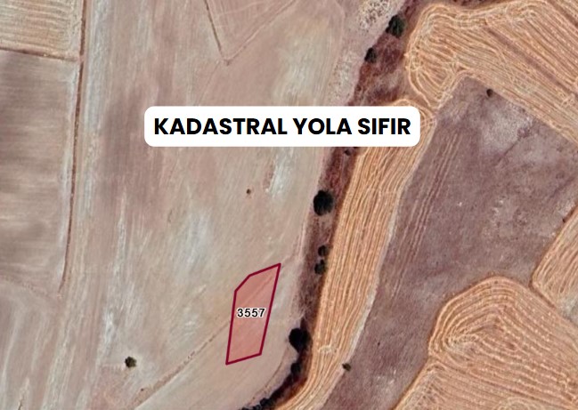 KAYSERİ BÜNYAN HAZERŞAH  KÖYÜNDE  1.000  M² TARLA SATILIKTIR - KAYSERİ BÜNYAN fotoğraf 8